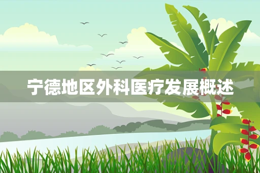 宁德地区外科医疗发展概述
