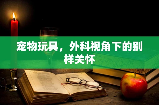 宠物玩具，外科视角下的别样关怀