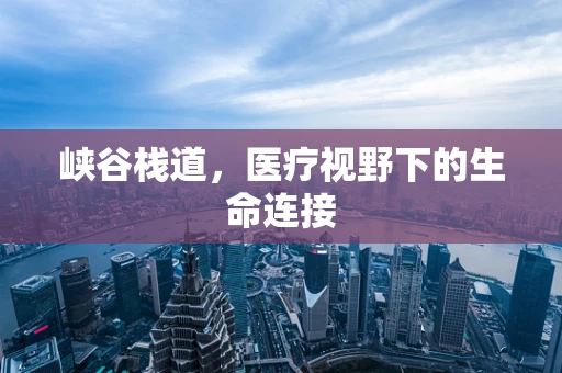 峡谷栈道，医疗视野下的生命连接