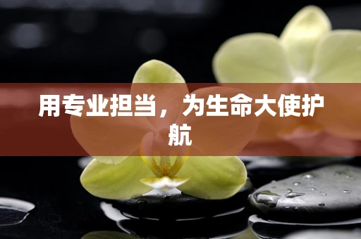 用专业担当，为生命大使护航