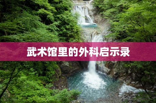 武术馆里的外科启示录