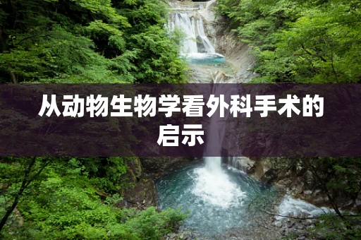 从动物生物学看外科手术的启示