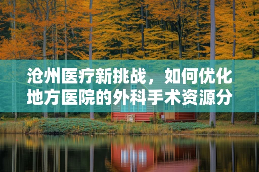 沧州医疗新挑战，如何优化地方医院的外科手术资源分配？