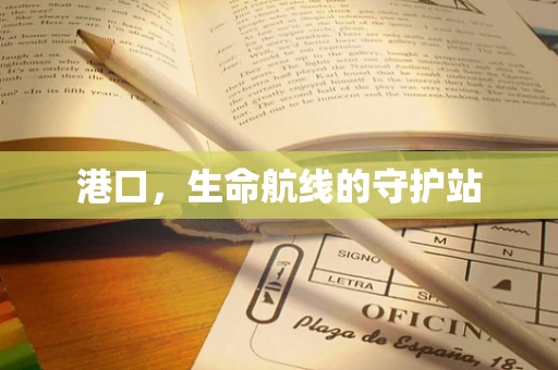 港口，生命航线的守护站