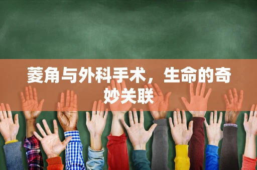 菱角与外科手术，生命的奇妙关联