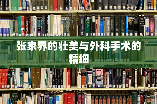 张家界的壮美与外科手术的精细