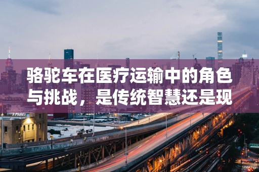 骆驼车在医疗运输中的角色与挑战，是传统智慧还是现代医疗的桥梁？