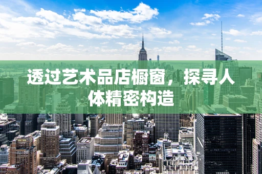 透过艺术品店橱窗，探寻人体精密构造
