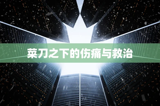 菜刀之下的伤痛与救治