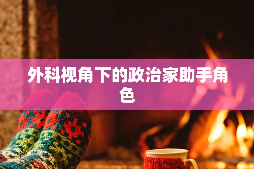 外科视角下的政治家助手角色