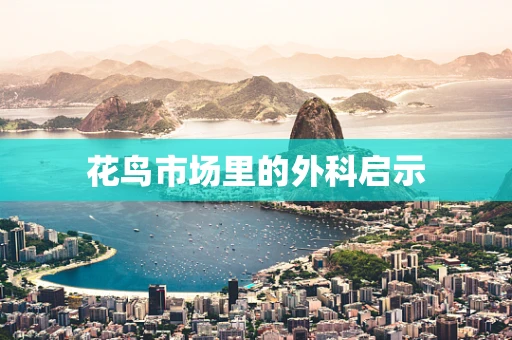 花鸟市场里的外科启示