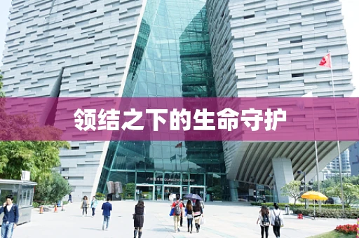 领结之下的生命守护