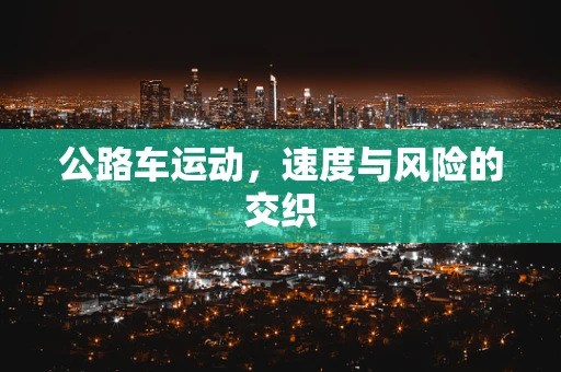 公路车运动，速度与风险的交织