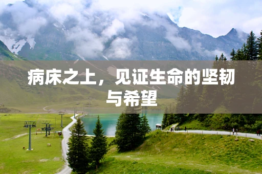 病床之上，见证生命的坚韧与希望
