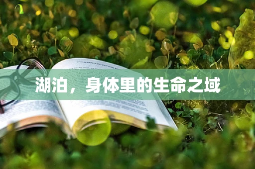 湖泊，身体里的生命之域