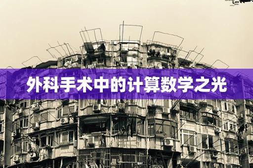 外科手术中的计算数学之光