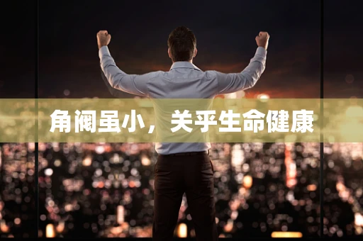 角阀虽小，关乎生命健康
