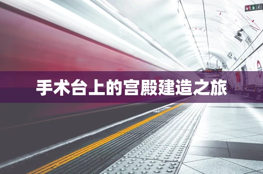 手术台上的宫殿建造之旅