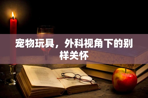 宠物玩具，外科视角下的别样关怀