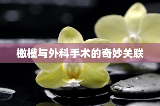 橄榄与外科手术的奇妙关联