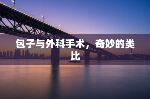 包子与外科手术，奇妙的类比