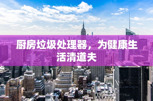 厨房垃圾处理器，为健康生活清道夫