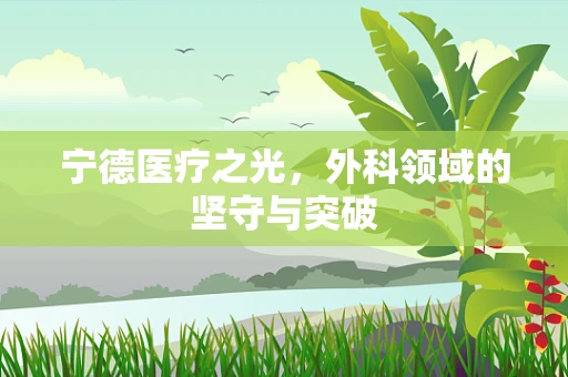 宁德医疗之光，外科领域的坚守与突破