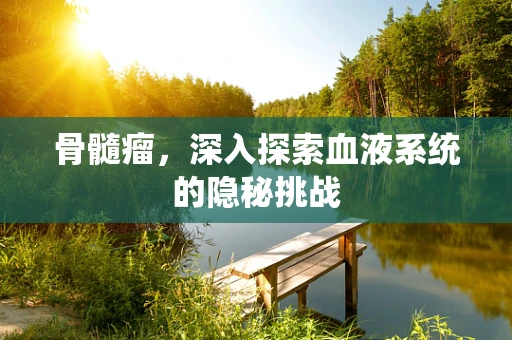 骨髓瘤，深入探索血液系统的隐秘挑战