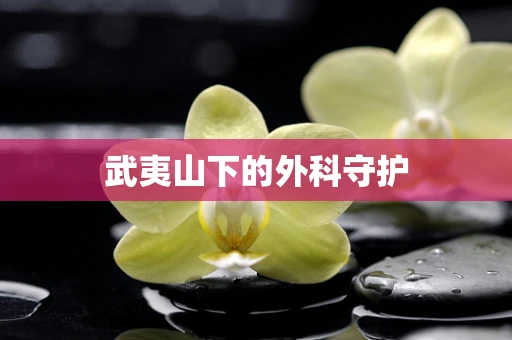 武夷山下的外科守护