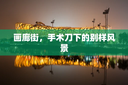 画廊街，手术刀下的别样风景