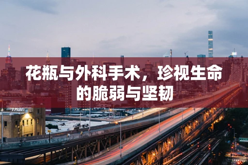 花瓶与外科手术，珍视生命的脆弱与坚韧
