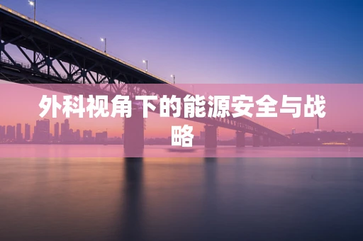 外科视角下的能源安全与战略
