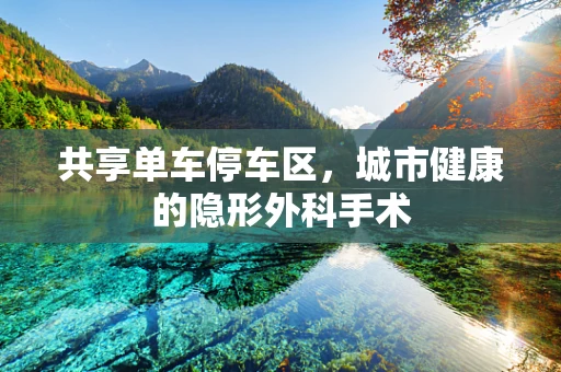 共享单车停车区，城市健康的隐形外科手术