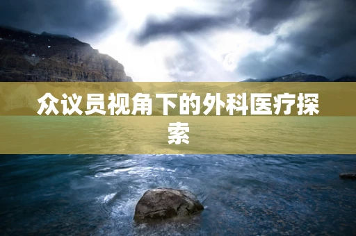 众议员视角下的外科医疗探索