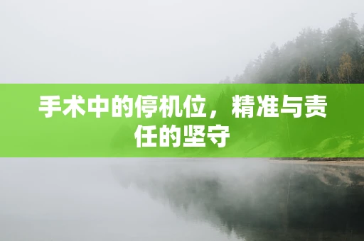 手术中的停机位，精准与责任的坚守