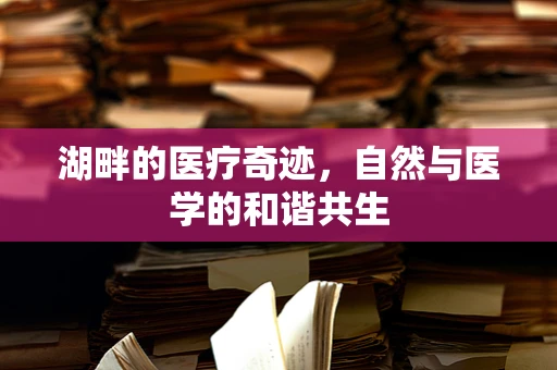 湖畔的医疗奇迹，自然与医学的和谐共生