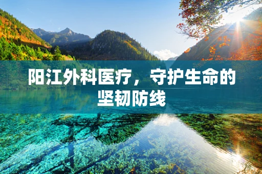 阳江外科医疗，守护生命的坚韧防线