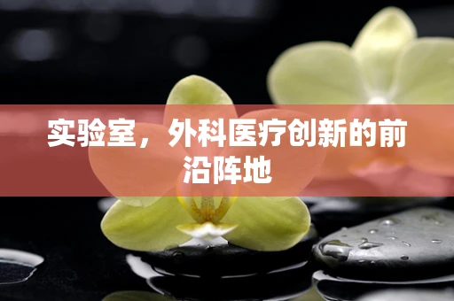 实验室，外科医疗创新的前沿阵地