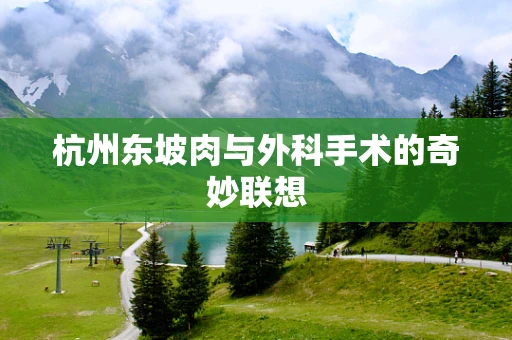 杭州东坡肉与外科手术的奇妙联想