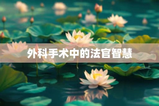 外科手术中的法官智慧