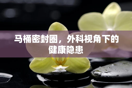 马桶密封圈，外科视角下的健康隐患