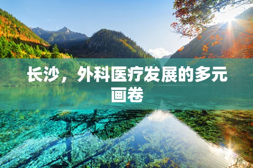 长沙，外科医疗发展的多元画卷