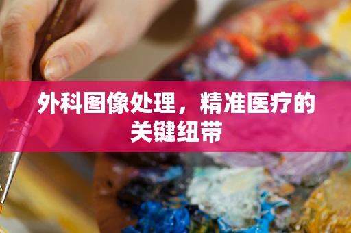 外科图像处理，精准医疗的关键纽带