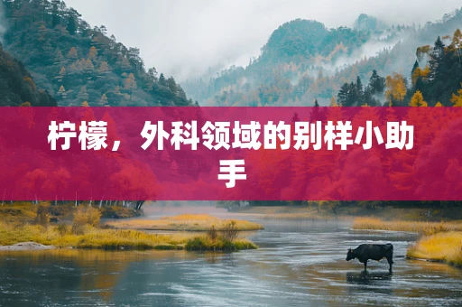 柠檬，外科领域的别样小助手