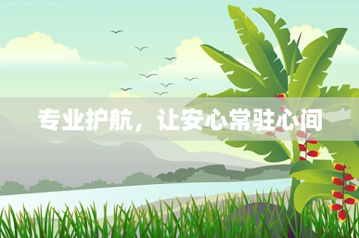专业护航，让安心常驻心间