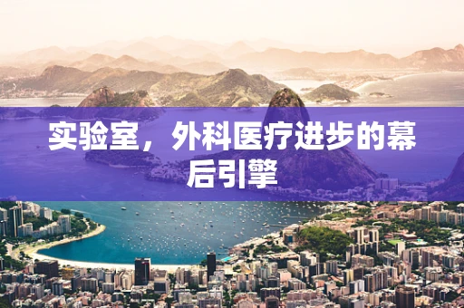 实验室，外科医疗进步的幕后引擎