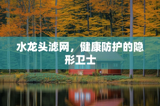 水龙头滤网，健康防护的隐形卫士