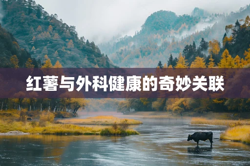 红薯与外科健康的奇妙关联
