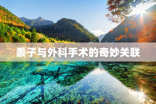 黍子与外科手术的奇妙关联