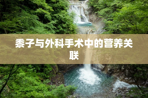 黍子与外科手术中的营养关联